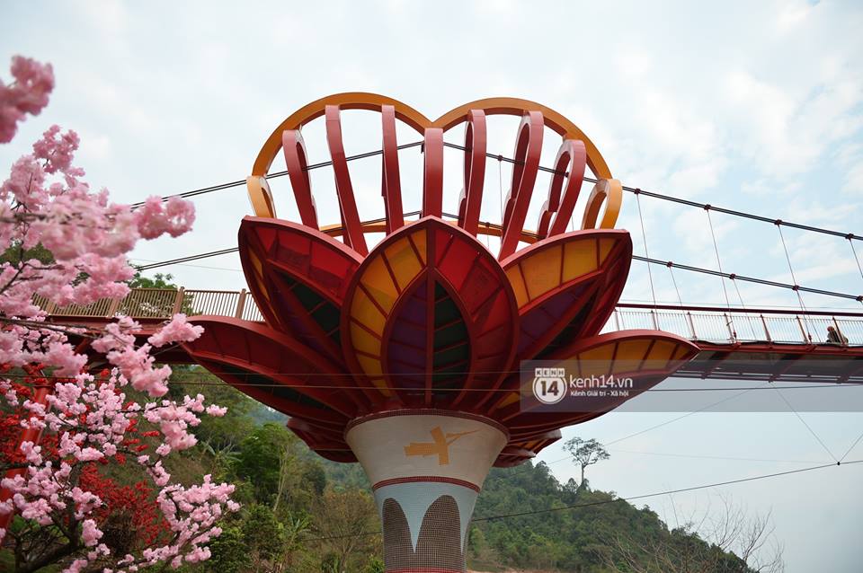 CÂY CẦU TÌNH YÊU - SƠN LA - MỘC CHÂU